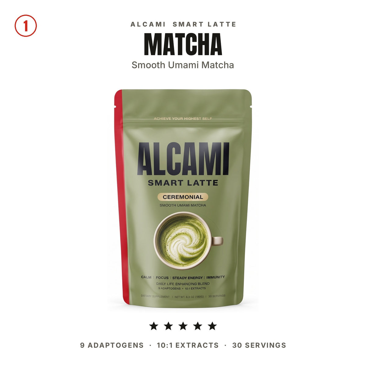 ELEMENTOS DE ALCAMI