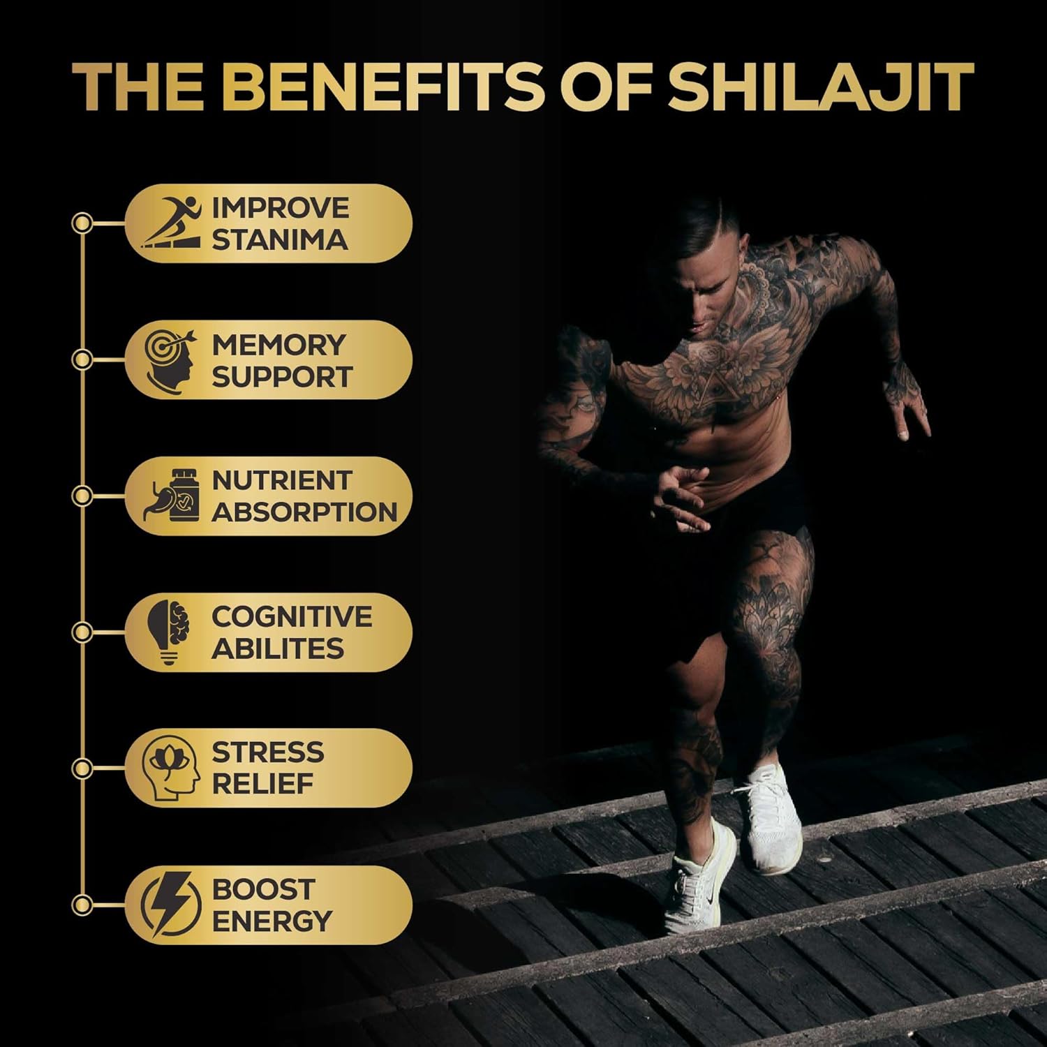 HIMALAYAN SHILAJIT