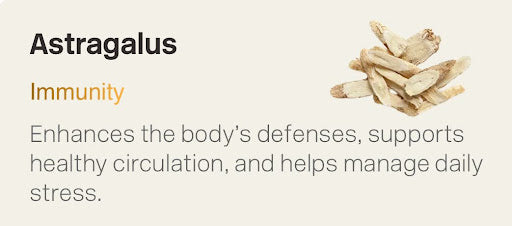 Astragalus Root and Telomeres: What Current Research Reveals