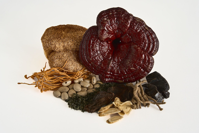 A variety of medicinal mushrooms and herbs, including a large red reishi mushroom, lion’s mane, cordyceps, and other dried roots and botanicals, arranged on a white background.