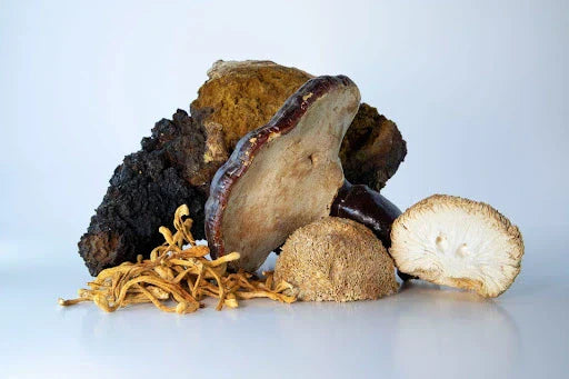 A variety of dried, antioxidant-rich adaptogenic mushrooms like Cordyceps and Reishi, known for boosting immunity and reducing stress.