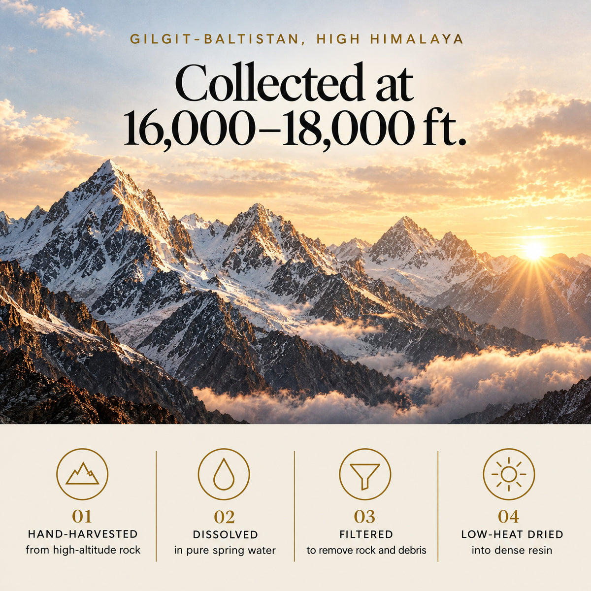 Collected at 16,000 to 18,000 ft in Gilgit-Baltistan in the high Himalaya, then hand harvested, dissolved, filtered and low-heat dried