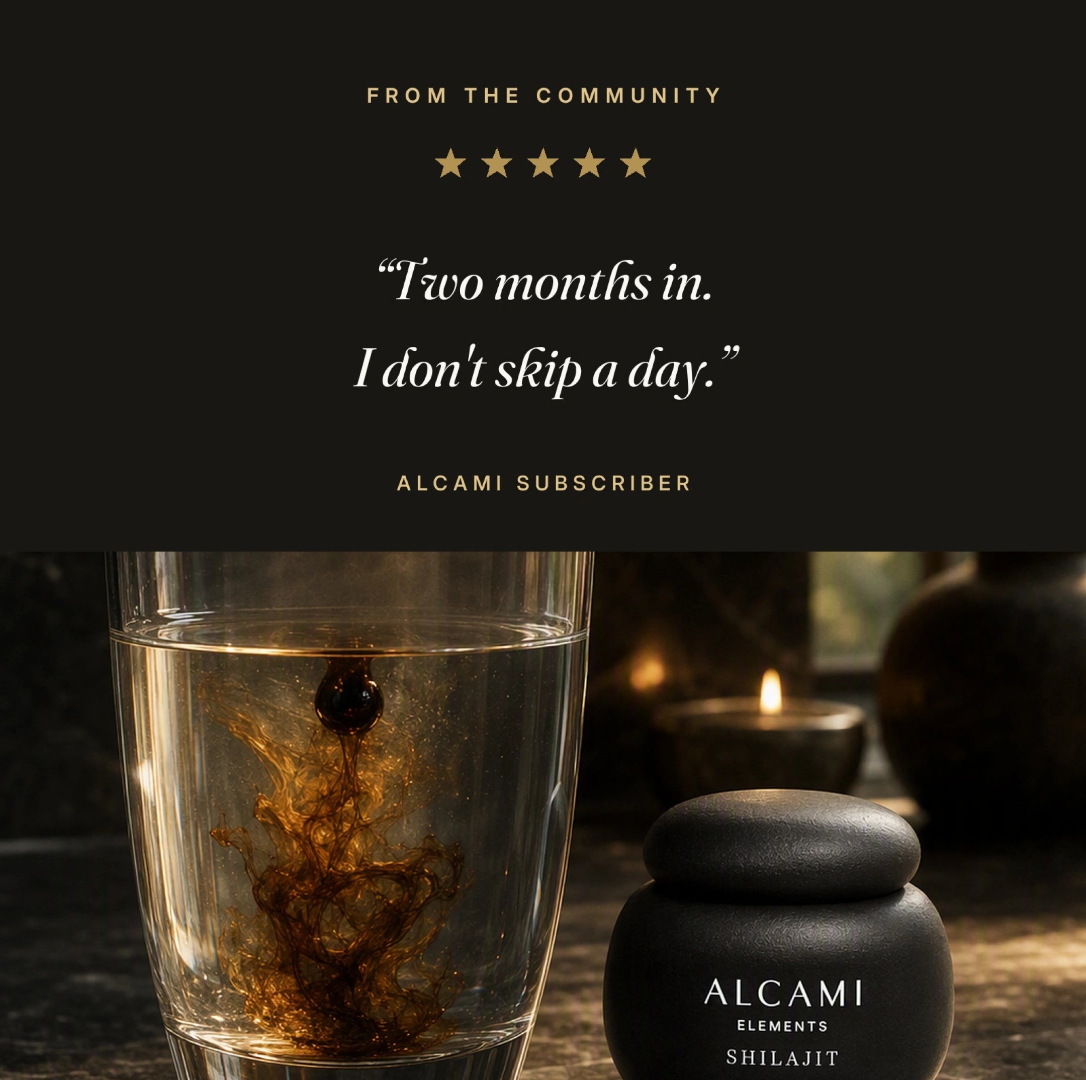SHILAJIT DEL HIMALAYO