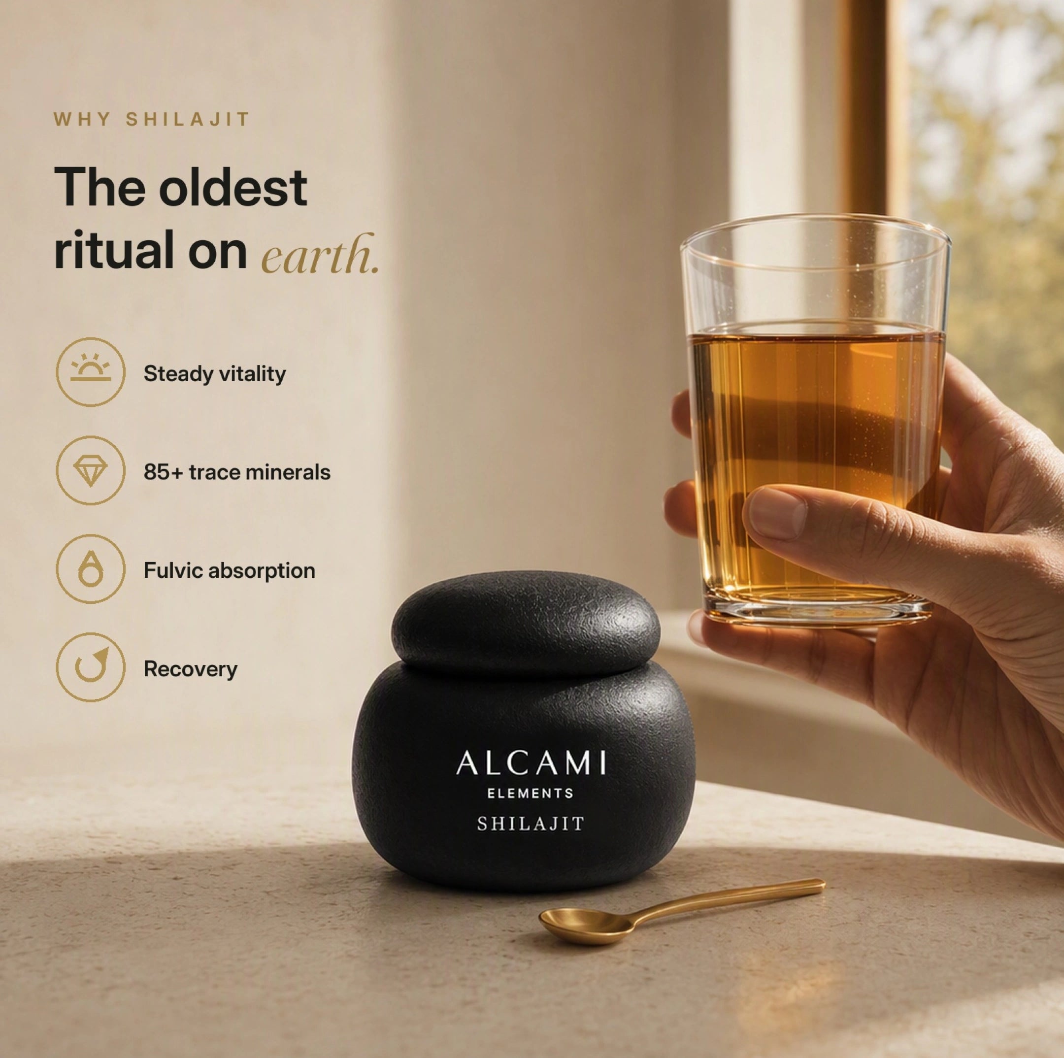 SHILAJIT DEL HIMALAYO