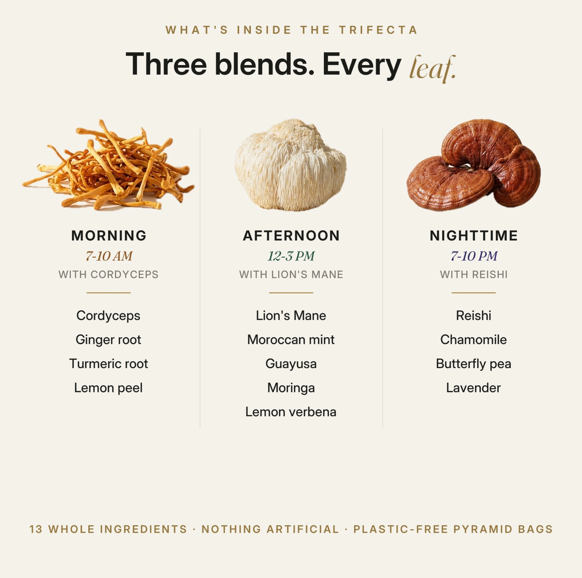 Three blends, every leaf: the ingredients in the Alcami Smart Tea Morning, Afternoon and Nighttime blends