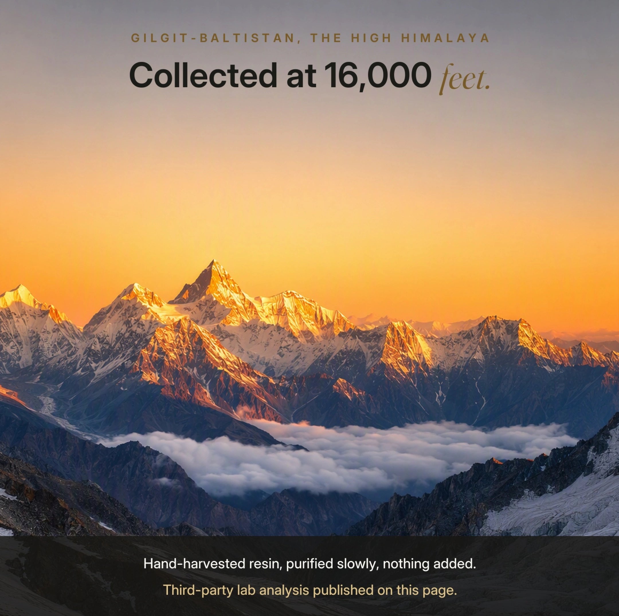 SHILAJIT DEL HIMALAYO