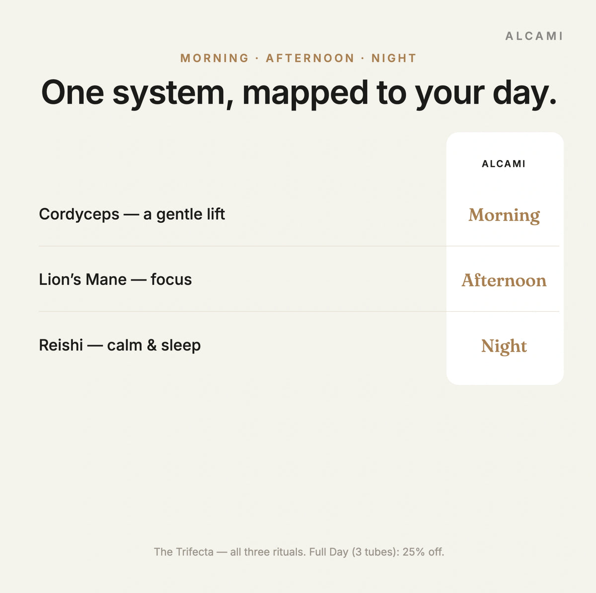 One system mapped to your day: cordyceps for a gentle lift in the morning, Lion's Mane for afternoon focus and reishi for calm and sleep at night