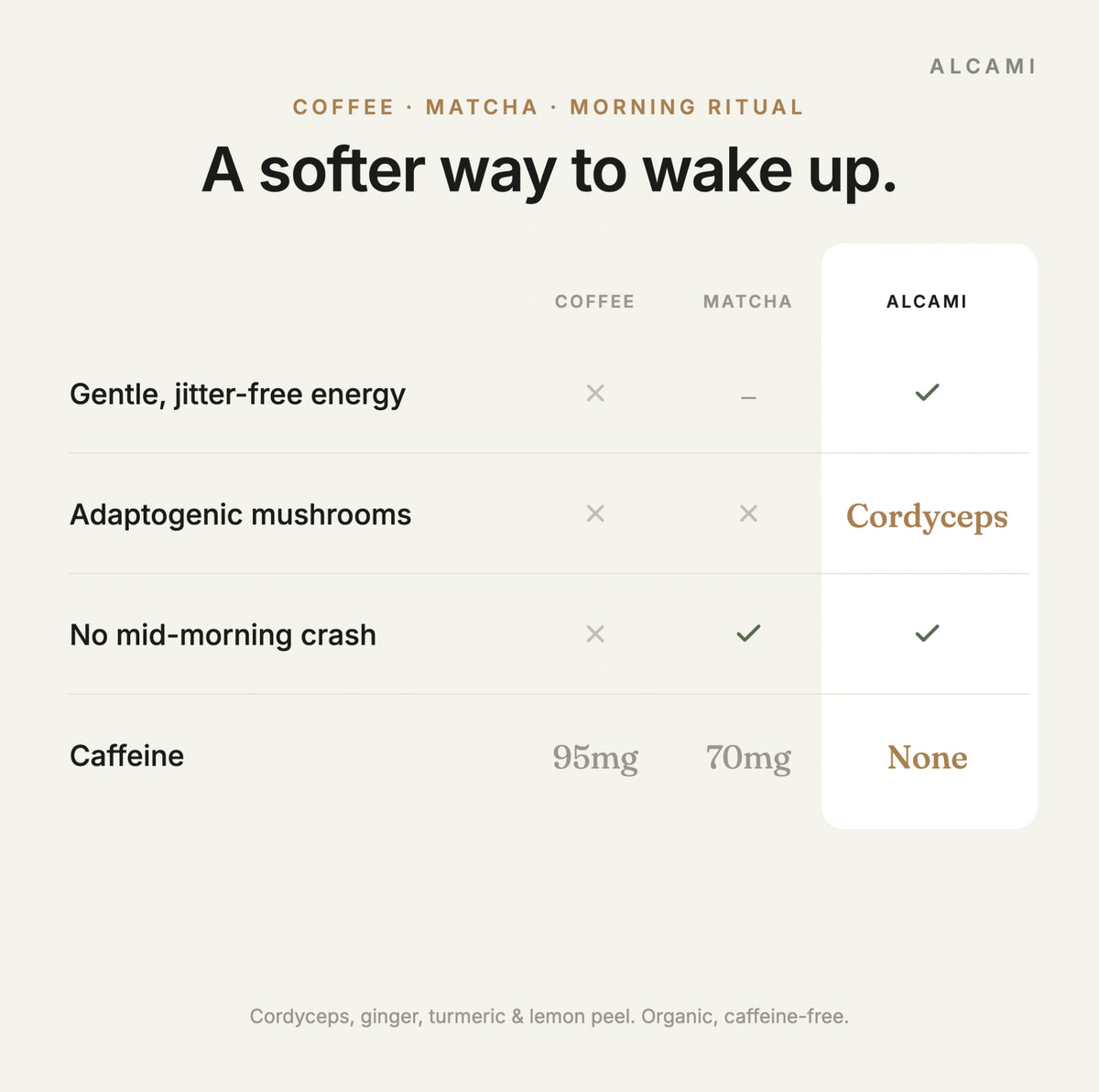 A softer way to wake up: Alcami Morning tea compared with coffee and matcha on jitter-free energy, adaptogenic mushrooms, mid-morning crash and caffeine