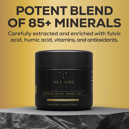 HIMALAYAN SHILAJIT