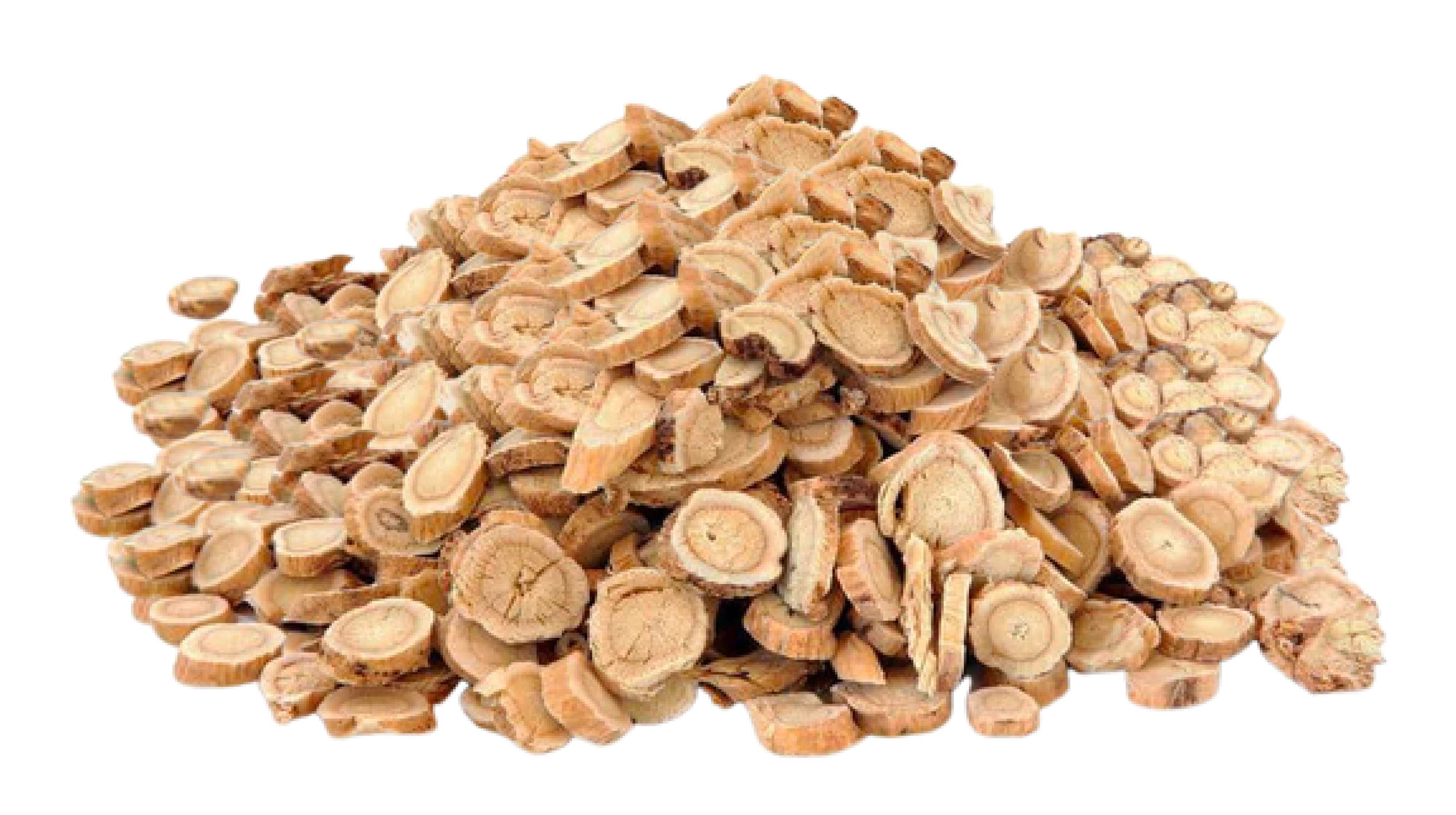 Astragalus