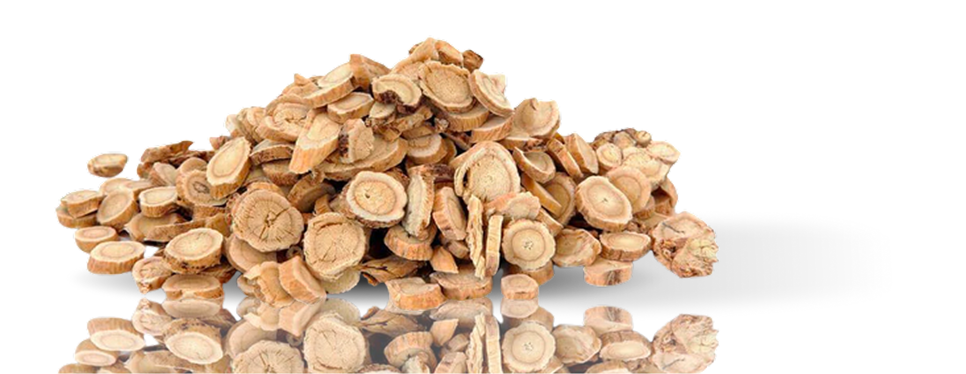 Astragalus Root