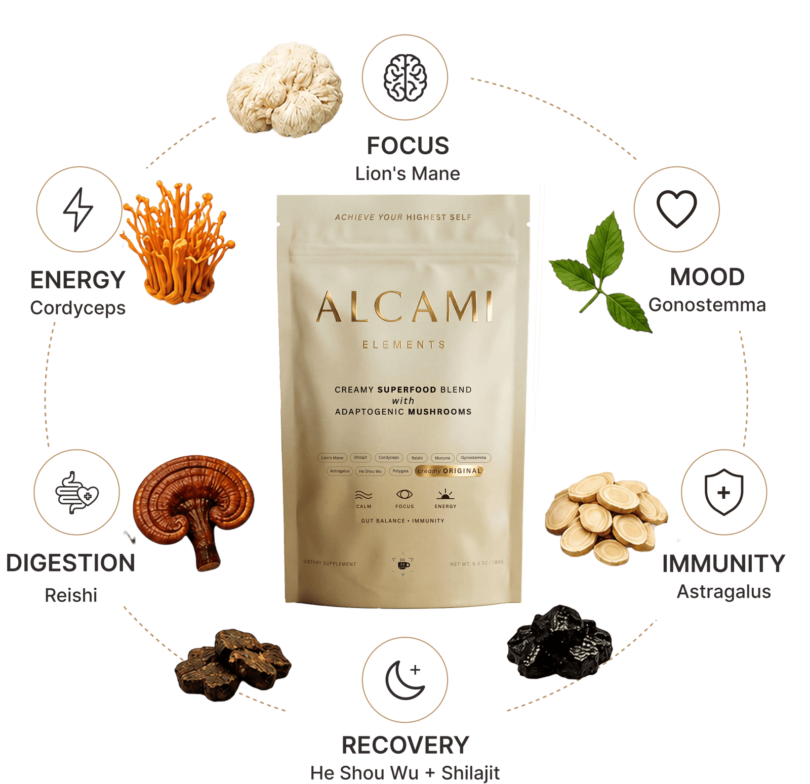 Alcami ingredients diagram