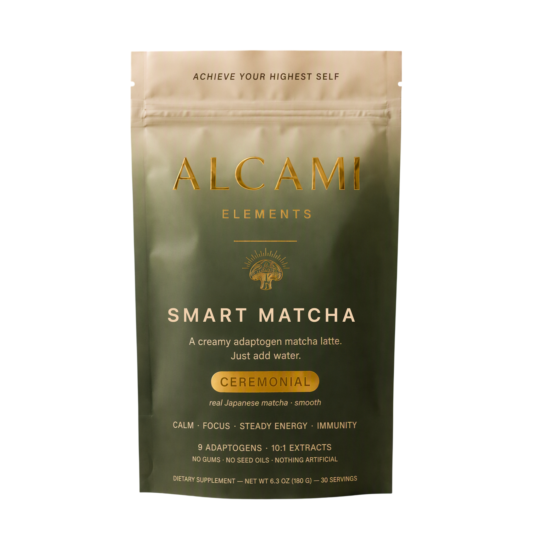 ELEMENTOS DE ALCAMI