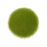 Smart Matcha